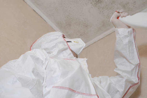 Best Specialized Mold Remediation in Franklin Rk, PA